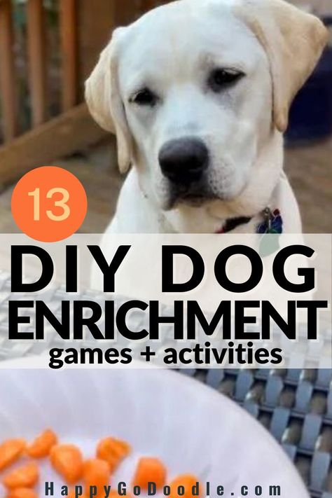 Labrador Retriever dog's happy face and the title DOG DIY Enrichment games & activities Inside Dog Activities, At Home Dog Enrichment, Diy Obstacle Course For Dogs, Dog Feeding Enrichment, Puppy Boredom Busters Diy, Dog Entertainment Ideas Diy, Homemade Brain Games For Dogs, Homemade Enrichment Toys For Dogs, Dog Stem Activities