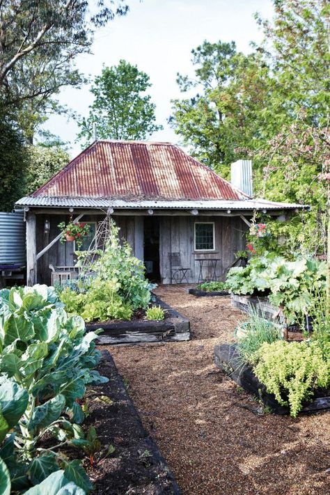 Kitchen garden shed: Shed Inspiration, Dekorasi Bohemia, Lots Of Plants, A Small House, American Farmhouse, Tin Roof, Kew Gardens, Rustic Gardens, Garden Cottage