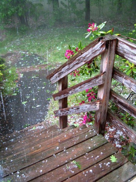 Wish I was in a cabin in the woods and this was outside my front door. You can almost smell the rain. Rain Falling, I Love Rain, Love Rain, Spring Rain, Walking In The Rain, Singing In The Rain, Rainy Night, Summer Rain, Sound Of Rain