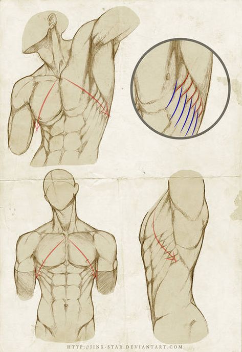 Human Anatomy Drawing, Human Figure Drawing, Human Anatomy Art, Anatomy Sketches, Drawing Faces, Body Reference Drawing, Hand Reference, Different Angles, Anatomy Drawing