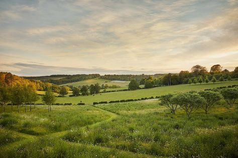 A rewilded garden with unbroken views of the Chilterns landscape Landscape View Nature, Garden Landscape Photography, Background Garden Nature, Garden With A View, Environment Landscape Photography, English Countryside Landscape, Landscapes Reference, Simple Landscape Photography, Nature Background Landscape