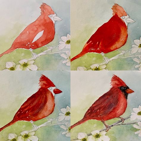 painting a watercolored cardinal steps, watercolor tutial of a cardinal Simple Cardinal Painting, Painting A Cardinal, Watercolor Cardinal Easy, Watercolor Cardinal Tutorial, Cardinal Watercolor Painting Easy, How To Paint A Cardinal, Memorial Paintings For Loved Ones, How To Paint A Cardinal Step By Step, Cardinal Painting Acrylic