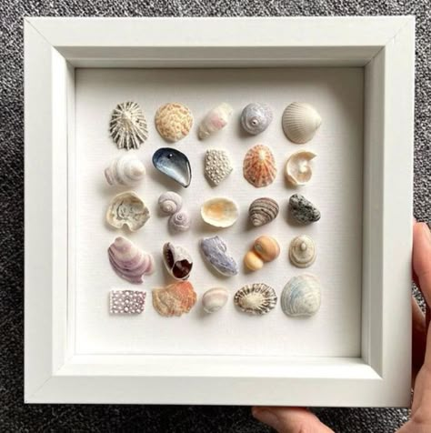 Diy Shell Decor Wall Hangings, Seashell Art Diy, Shell Ideas, Mermaid Room, Shell Crafts Diy, Seashell Art, Beach Crafts, Seashell Crafts, Shell Art