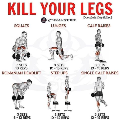 GYM FITNESS TIPS on Instagram: “Leg gains! Thank you for reading this post! If you like the content that I produce, leave a follow for more fitness…” Lower Body Workout For Men, Leg Workouts For Men, Dumbbell Leg Workout, Leg Workouts Gym, Workout Gym Routine, Gym Workout Guide, Leg Workout Routine, Best Leg Workout, Workout Program Gym