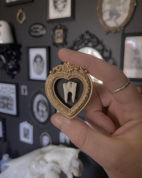 Sara 🕷️ | The cutest little tooth from @jaimelesdents arrived today 🦷 . . . . . . . #tooth #coyotetooth #taxidermy #taxidermyart #macabre… | Instagram Mini Framed Art, Oddities Decor Diy, Diy Curiosities, Oddities Shelf, Oddities Aesthetic, Oddities Wall, Faux Taxidermy Diy, Bedroom Goth, Curiosity Tattoo