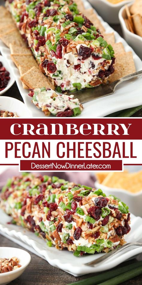 This easy Cranberry Pecan Cheeseball is made with only 5 ingredients: cream cheese, dried cranberries, green onions, white cheddar cheese, and pecans. It's a festive and delicious appetizer for Thanksgiving, Christmas, or New Year's Eve! Cranberry Cheeseball, Pecan Cheeseball, Cream Cheese Appetizer Recipes, Cream Cheese Balls Recipe, Dried Cranberries Recipes, Cranberry Appetizer, Cheeseball Recipe, Cheese Ball Recipes Easy, Cheddar Cheese Ball