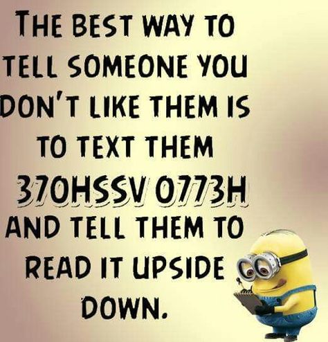 Quotes Hope, Funny Minion Pictures, Funny Minion Memes, Minion Jokes, A Minion, Funny Minion Quotes, Minion Quotes, Minions Quotes, 웃긴 사진