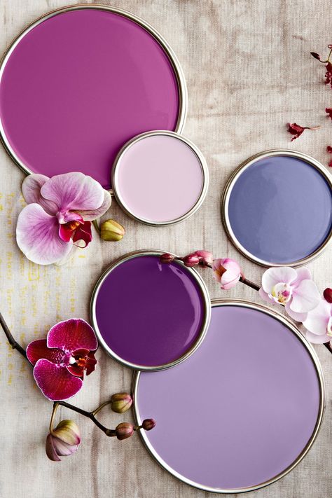 Start your search for the perfect whole home paint color palette here. We've rounded up some of our favorite paint colors from a variety of paint brands, all organized by color family. Whether you prefer warm neutrals, soothing blues, or vibrant hues, browse our picks for the best interior paint colors to find your ideal match. #paintcolors #toppaintcolors #homedecor #interiordesign #colorschemes #bhg Best Interior Paint Colors, Painting Over Wallpaper, Best Gray Paint Color, Purple Paint Colors, Top Paint Colors, Beige Paint Colors, Yellow Paint Colors, Best Interior Paint, Black Paint Color