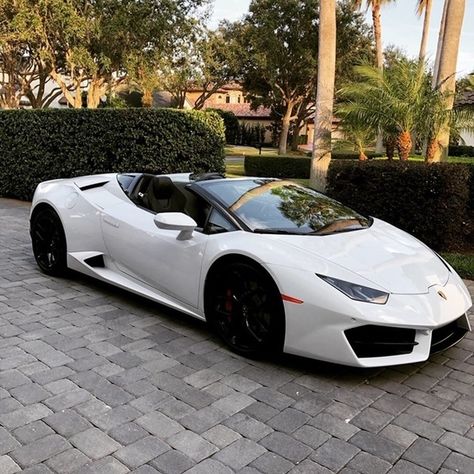 White Lambo, Lamborghini Huracan Spyder, White Lamborghini, Luxury Cars For Sale, Aesthetic Cool, Lamborghini Cars, Car Aesthetic, White Car, Super Luxury Cars