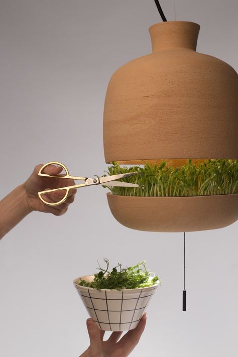 Terra-Cotta Lamp Doubles as a Vegetable Garden Planter Design, Food Projects, Tiny Kitchen, Yanko Design, The Ceiling, Clean Air, Herb Garden, Growing Plants, Sustainable Design