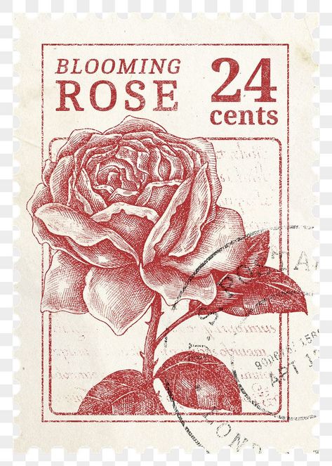 Aesthetic Stamp Design, Vintage Rose Design, Red Stamp Png, Postage Stamp Vintage, Pink Stamp Aesthetic, Rose Postage Stamp Tattoo, Vintage Images Aesthetic, Collage Elements Png, Post Stamp Vintage