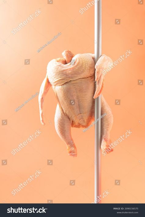 Raw Chicken Performs Pole Dance Orange Stock Photo 2090156575 | Shutterstock Shutterstock Images Stock Photos, Chicken Dancing, Dancing Chicken, Chevrolet Camaro Black, Camaro Black, Selfie Inspo, Fictional Men, Raw Chicken, Funny Chicken