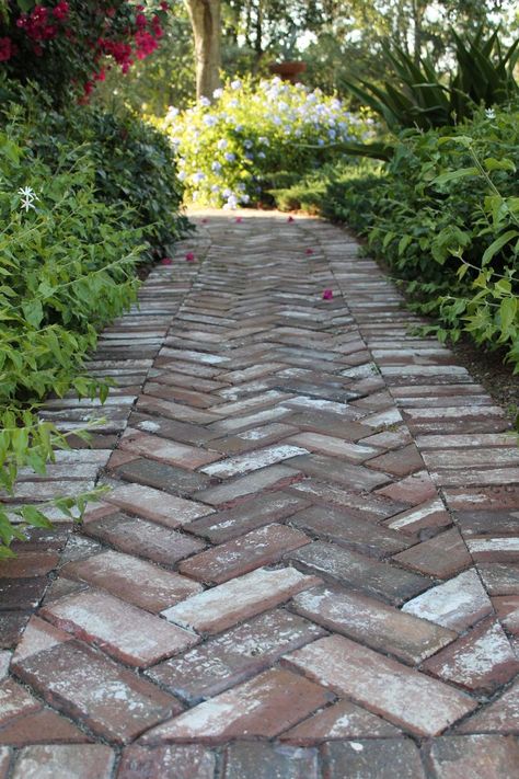 Timeless Herringbone Pattern in Home Décor Stepping Stone Pathway, Brick Sidewalk, Brick Pathway, Walkway Landscaping, Patio Pavers Design, Walkway Design, Brick Path, Brick Walkway, Pathway Landscaping