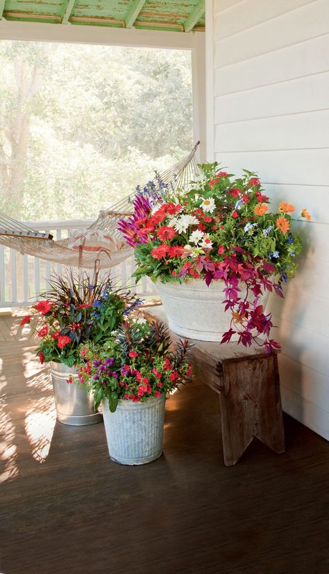 125 Container Gardening Ideas Veranda Design, Front Porch Flowers, Shasta Daisies, Porch Flowers, Potato Vines, Container Gardening Flowers, Summer Porch, Whimsical Wonderland, Garden Containers