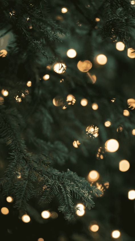 Advent Season Wallpaper, Christmas Themes Wallpaper, Iphone Background Christmas Aesthetic, Iphone Xmas Wallpaper, Iphone Wallpaper Christmas Lights, Christmas Aesthetic Photography, Xmas Background Aesthetic, Christmas Theme Wallpaper Iphone, Christmas Mood Aesthetic