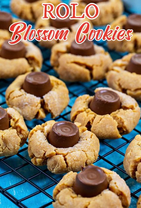 Christmas Cookies With Rolos, Rollo Cookies Recipes, Roll Cookies Recipes, Cookies With Rolos, Rollo Cookies, Rolo Cookies, Blossom Cookies, Peanut Butter Blossoms, Southern Kitchen