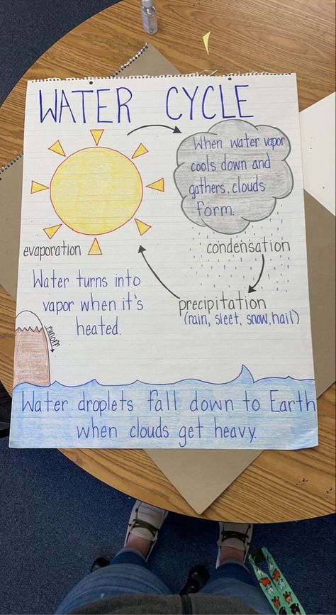 First Grade Weather Activities, Water Cycle Chart Preschool, Grade 2 Air And Water, Weather And Climate Activities 3rd Grade, 2nd Grade Weather Unit, Water Cycle 2nd Grade, Meteorologist Anchor Chart, Weather Anchor Chart 2nd Grade, Water Cycle First Grade