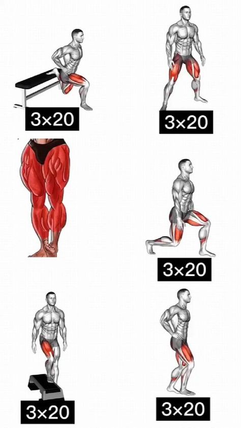 Leg Workouts For Men, Bodyweight Back Workout, Gym Workout Apps, Leg Workouts Gym, Gym Workout Guide, Workout Program Gym, Best Gym Workout, Leg Workout At Home, Gym Workout Planner