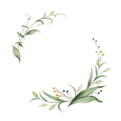 Vector watercolor vector wreath of green... | Premium Vector #Freepik #vector #flower-wreath #watercolor-wreath #floral-wreath #floral-frame Flower Wreath Illustration, Sublimacion Ideas, Watercolor Vector, Wreath Illustration, Branch Vector, Watercolor Wreath, Flower Graphic Design, Floral Banners, Watercolor Bouquet