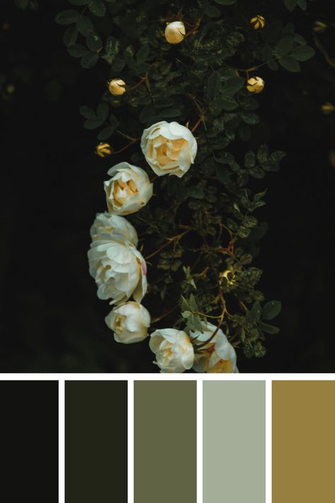 Soft features, muted earth tones. The white and cream hues of the roses contrast gently with the dark green foliage, creating a soothing, natural aesthetic. Cream And Green Palette, White And Green Color Palette, Green Neutral Aesthetic, Earth Tone Branding, Muted Color Palette Earth Tones, Color Scheme Generator, Earth Colour Palette, Earth Tone Palette, Color Generator