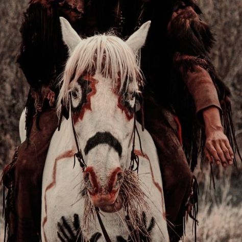 Rick And Michonne, Indian Colours, Horse Costumes, Art Appliqué, She Wolf, Creature Feature, Cute Horses, Native American Culture, Fantasy Aesthetic