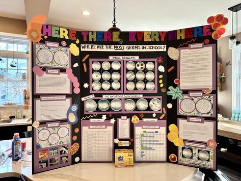 8th grade science fair bacteria tri-fold Science Trifold Board Ideas, Bacteria Science Fair Project Board, Science Fair High School, Science Fair Board Layout, 8th Grade Science Fair Projects, Tri Fold Poster Board, Trifold Board, Tri Fold Poster, Tech Poster