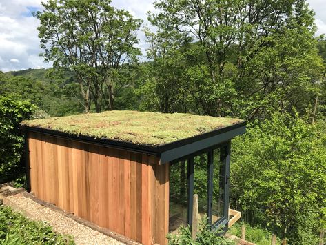 Sedum Roof Garden Room 2019 | Bridge Timber Garden Rooms Living Green Roof, Green Roof Garden, Sedum Roof, Garden Home Office, Living Walls, Living Roofs, Hidden Garden, Roof Architecture, Studio Green