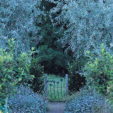 Pretty Garden, Faeries Gardens, Led Tree, Tree Lights, Magical Garden, Garden Gate, Enchanted Garden, Tree Lighting, Garden Gates