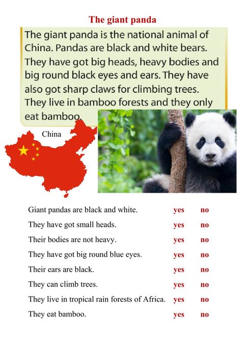 Can Worksheet, Panda For Kids, Panda Activities, English Reading Skills, English Conversation Learning, Teach English To Kids, Fluency Passages, Short Text, English Teaching Materials