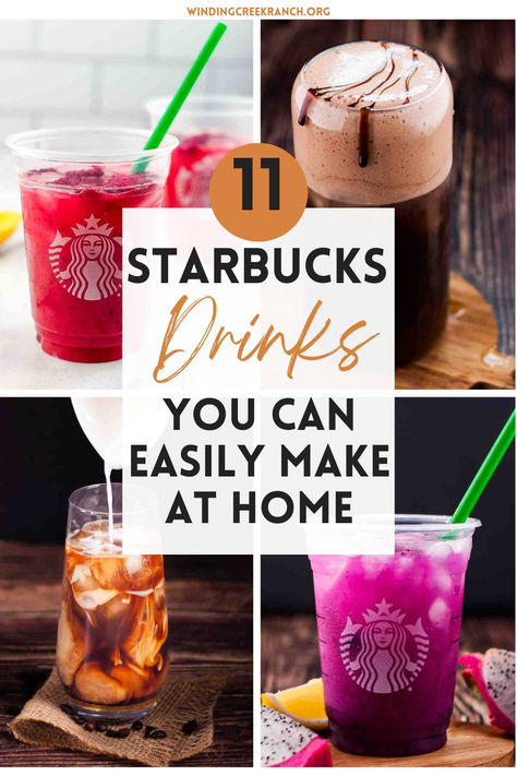 Variety of homemade Starbucks drinks in glasses, showcasing different colors and garnishes. Starbucks Energy Drink Recipe, Starbucks Drinks You Can Make At Home, Easy Starbucks Drinks At Home, Starbucks At Home Recipes, Homemade Starbucks Drinks, The Best Starbucks Drinks, Starbucks Recipes At Home, Starbucks Drinks At Home, Starbucks Copycat Recipes Drinks