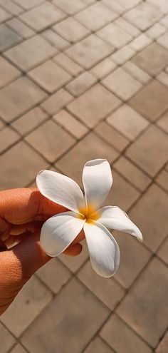 instagram story ideas | insta story | spring aesthetic | springtime | flowers | pink flowers Flower Aesthetic Snapchat, Snapchat Cover Photos Aesthetic, Real Flower Pictures Nature, Flowers Snapchat Streak, Flower Aesthetic Snap, Snapchat Chat Wallpapers, Wallpaper For Snapchat Chat, Snapchat Cover Photo, Flowers Aesthetic Snapchat