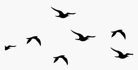 Birds Png For Editing, Fonts For Business, Flying Bird Drawing, Birds Silhouette, Flying Bird Silhouette, Signature Logo Design, Silhouette Tattoos, Birds In The Sky, Bird Clipart