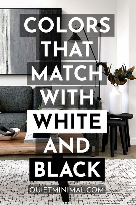 White Room Grey Accent Wall, Black And White Room With Accent Color, White Walls Black Trim Living Room Decor, White Living Room Black Furniture, Black And White Living Room With Pops Of Color, Black And White Bathroom Accents, Grey Black And White Living Room Ideas Color Schemes, White And Grey Interior House, White Walls Grey Furniture Living Room