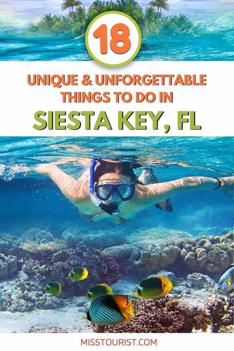 If you're looking for things to do in Siesta Key, look no further! This list has something for everyone, from nature lovers to beach bums! Siesta Key Village, Siesta Beach, Siesta Key Florida, Florida Adventures, Siesta Key Beach, Travel Bucket List Usa, Kayak Adventures, Beach Retreat, Turtle Beach