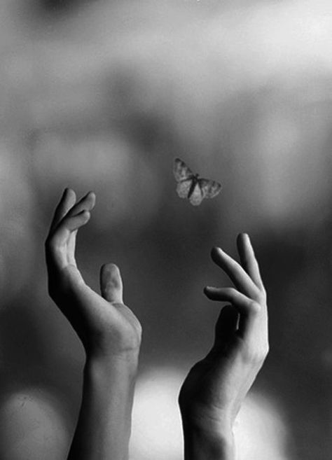 Power over others is weakness disguised as strength.True power if within, and it is available to you now. -Eckhart Tolle More Papillon Butterfly, Yoga Logo, Hand Photography, Hand Reference, The Poem, Eckhart Tolle, 인물 사진, A Butterfly, A Quote