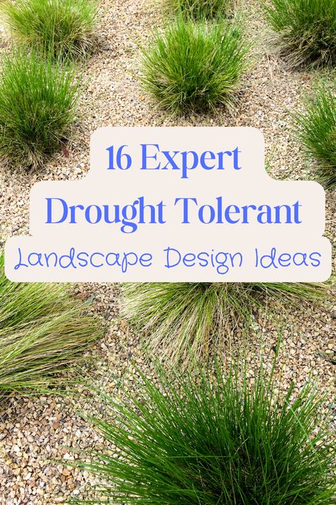 Drought tolerant landscape, rockscape with plants in it Land Scape Design Ideas, Landscape Ideas Xeriscape, Dry Landscaping Ideas Front Yards, Simple Drought Tolerant Front Yard, Small Drought Tolerant Front Yard, Desert Landscapes Front Yard, Drought Tolerant Landscape California Backyard Ideas, Zeroscape Landscaping Front Yards, Landscape Design Drought Tolerant