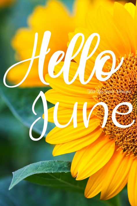 Hello March Images, June Pictures, March Images, June Quotes, Welcome June, New Month Quotes, Hello Design, Happy June, Hello June