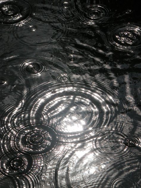 i love all the different water ripples, rings and circles created in this photo and the gloomy effect it gives in black and white. Water Photography, Water Ripples, Body Of Water, Water Reflections, Circle Ring, Black White Photos, Warrior Cats, Patterns In Nature, Blue Water