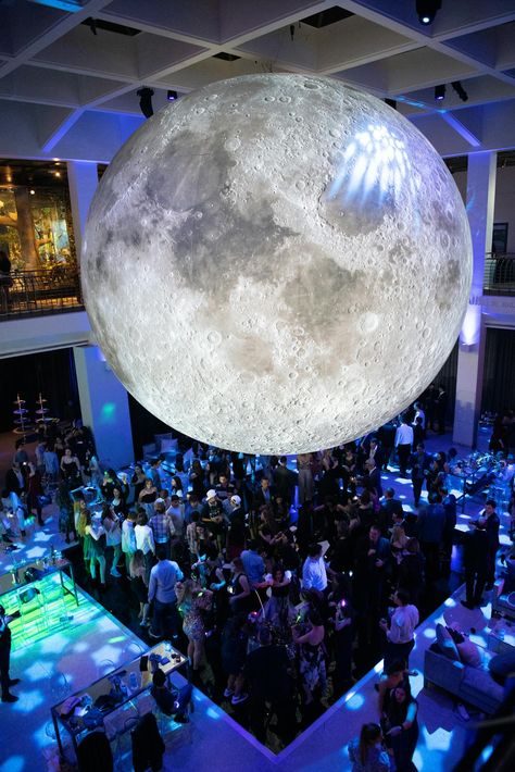 Space Themed B'nai Mitzvah at the Houston Museum of Natural Science in Houston, Texas | Oulala! What an Event | PartySlate Outer Space Prom Theme, Space Prom Theme, Blue Uplighting, Custom Dance Floor, Mitzvah Themes, Mitzvah Decor, Prom Theme, Night At The Museum, Natural Science