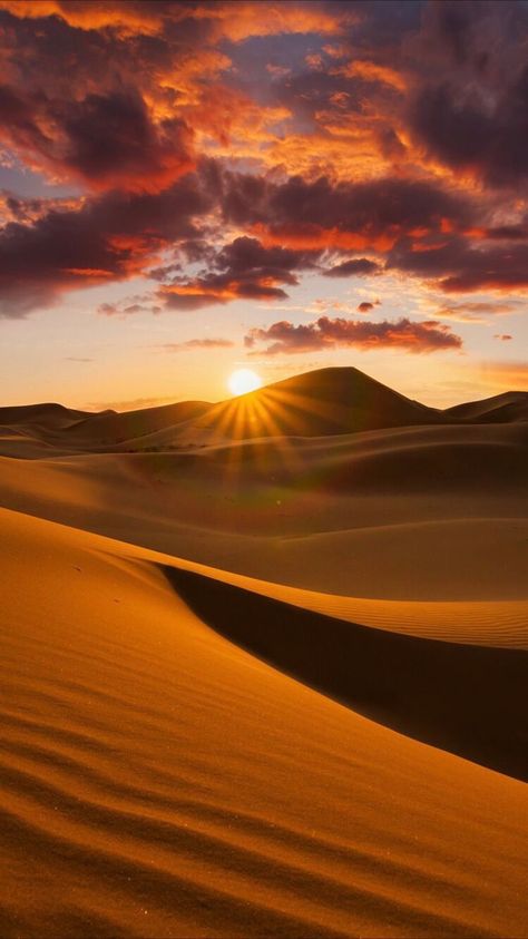 Desert Pictures, Desert Background, Desert Aesthetic, Deserts Of The World, Desert Photography, 강아지 그림, Landscape Photography Nature, Sahara Desert, Desert Landscaping