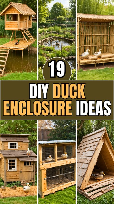 19 DIY Duck Enclosure Ideas – The DIY Desire Duck Pens Ideas, Diy Duck Pen, Geese House Ideas, Duck Playground, Diy Duck Enclosure Ideas, Duck Pen Ideas, Diy Duck Enclosure, Duck Enclosure Ideas, Homestead Organization