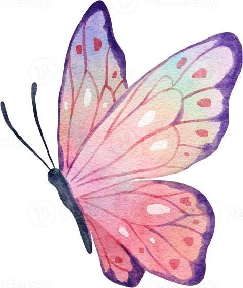 Butterfly Watercolor Illustration Simple Art Butterfly, Butterfly Drawing Illustration, Cute Drawings Of Butterflies, Drawing Ideas Butterflies, Two Butterfly Drawing, Butterfly Colorful Drawing, Butterfly Drawing Aesthetic Colorful, Butterfly Digital Art Illustrations, Butterfly In Watercolor