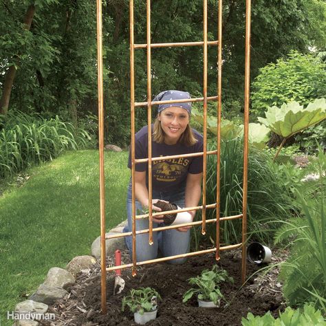 Build a Copper Trellis for Your Garden Copper Trellis, Patio Trellis, Patio Pond, Garden Arch Trellis, Planter Trellis, Arch Trellis, Trellis Ideas, Raised Planter Beds, Climbing Flowers