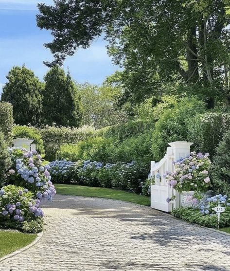 Hamptons Summer, Growing Hydrangeas, Dream Life House, Dream Beach Houses, Cape Cod House, Hamptons House, Home Landscaping, Dream House Interior, Dream House Exterior