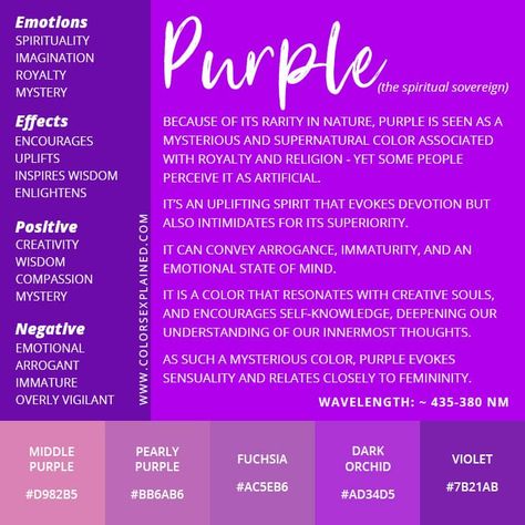 Color Purple Meaning: Symbolism and Meaning of the Color Purple • Colors Explained Purple Psychology Color Theory, Meaning Of The Color Purple, Purple Color Spiritual Meaning, What Does The Color Purple Mean, Meaning Of Purple Colour, Color Purple Meaning, Purple Color Theory, Purple Symbolism, Meaning Of Purple