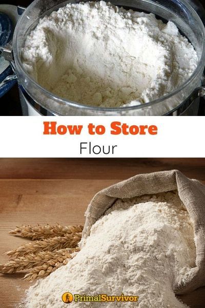 Foods That Store For Years, Preserving Flour Long Term, Best Way To Store Flour Long Term, How To Store Flour Long Term Food Storage, How To Store Oatmeal Long Term, How To Can Flour, Diy Vacuum Seal Bags, How To Store Flour Long Term, How To Store Flour