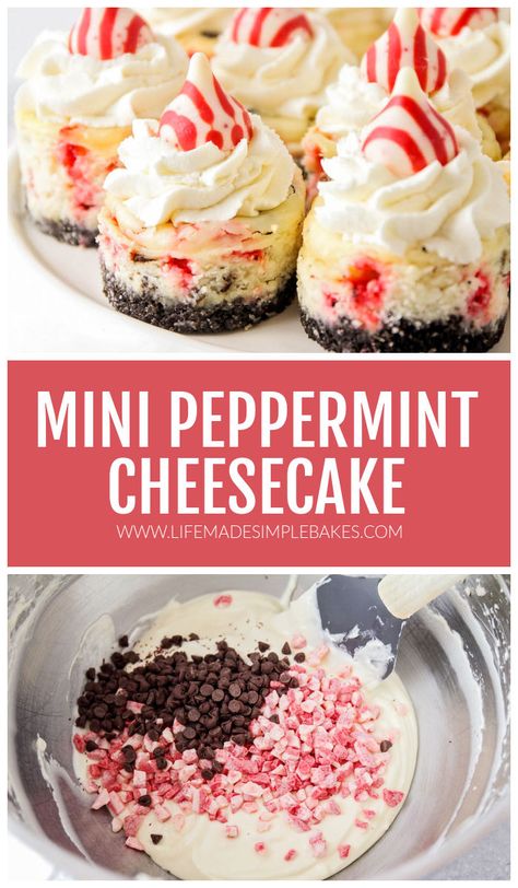 Peppermint Brownie Cheesecake, Peppermint Bark Mini Cheesecakes, Peppermint Mini Cheesecakes, Peppermint Cheesecake Brownies, Oreo Peppermint Cheesecake Bites, White Chocolate Peppermint Cupcakes, Peppermint Cheesecake Bites, No Bake Oreo Peppermint Cheesecake Bites, Mini Peppermint Cheesecake