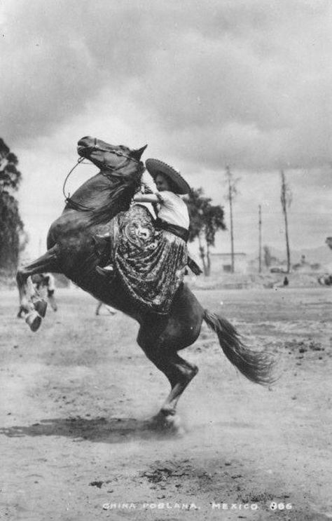 Goth Vaquera, Western Grunge, Mexican Revolution, American Buffalo, Mexico History, Wilde Westen, Image Nature, Vintage Cowgirl, Mexican Culture