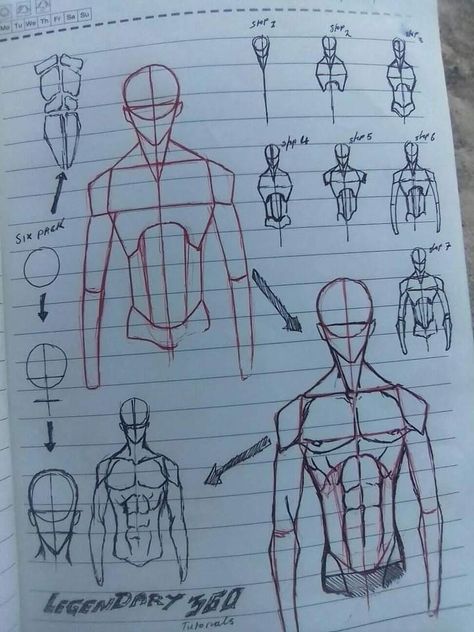 Basic Anotamy Drawing, Basic Anatomy Drawing, Basic Sketching, Human Body Drawing, Drawing Ideas List, Body Drawing Tutorial, Human Anatomy Drawing, Human Figure Drawing, Human Anatomy Art