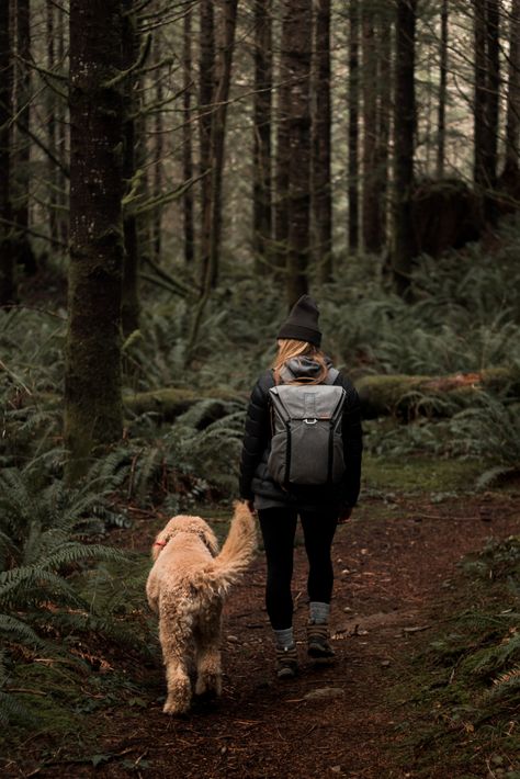 Hiking Photography, Camping Aesthetic, Door Entrance, Hiking Dogs, Adventure Aesthetic, Farmhouse Front, Entrance Design, Dog Adventure, Wild Adventures